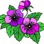 clipart_fiori_c11